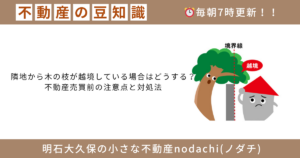 不動産　豆知識　越境　購入　売却